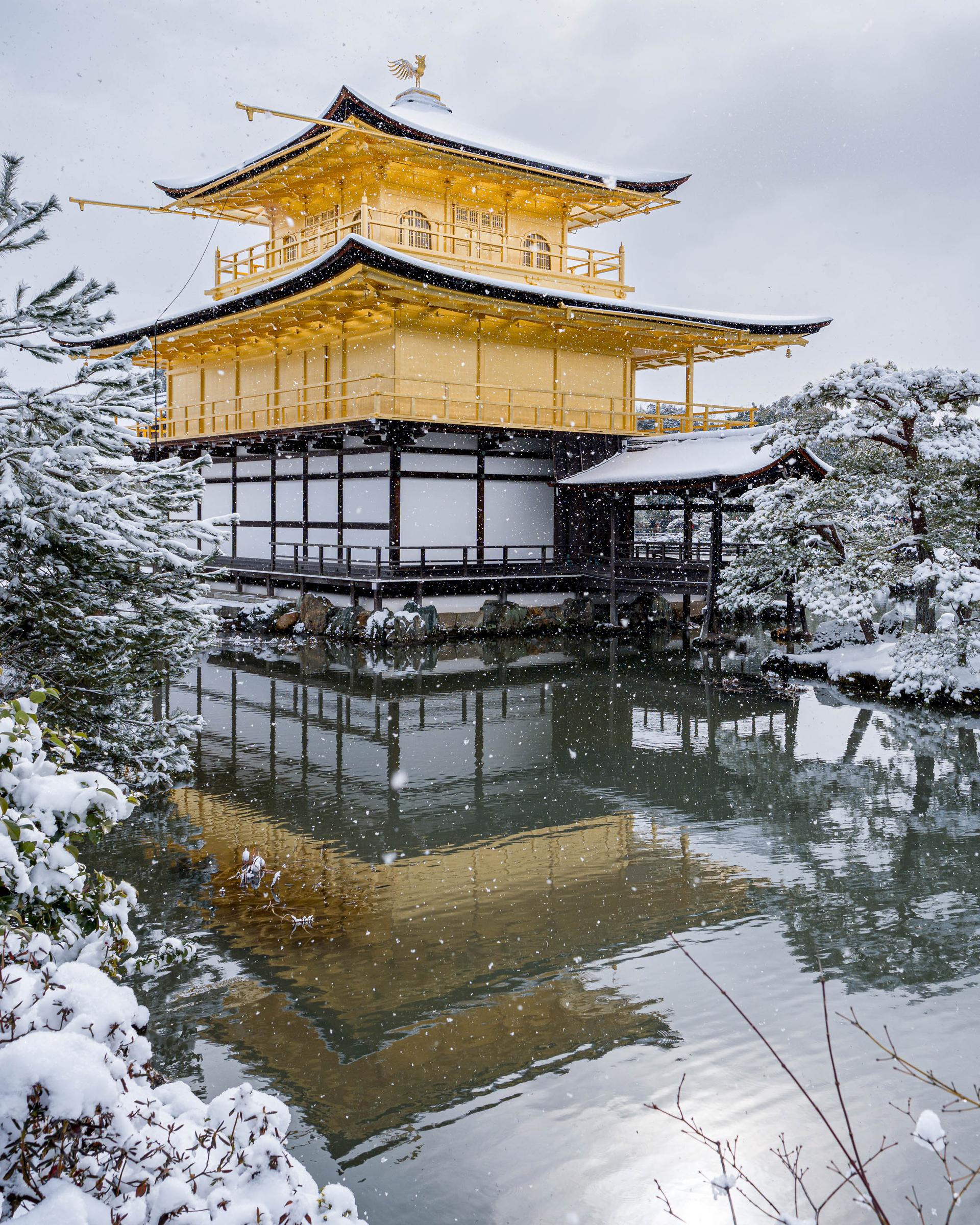 雪の金閣寺-img