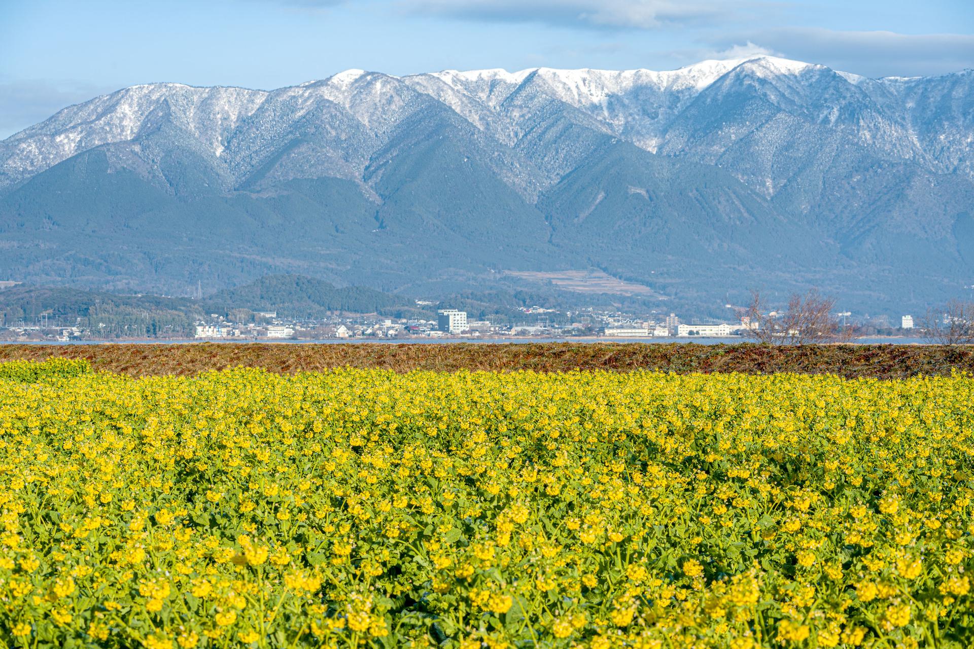 第一なぎさ公園-img