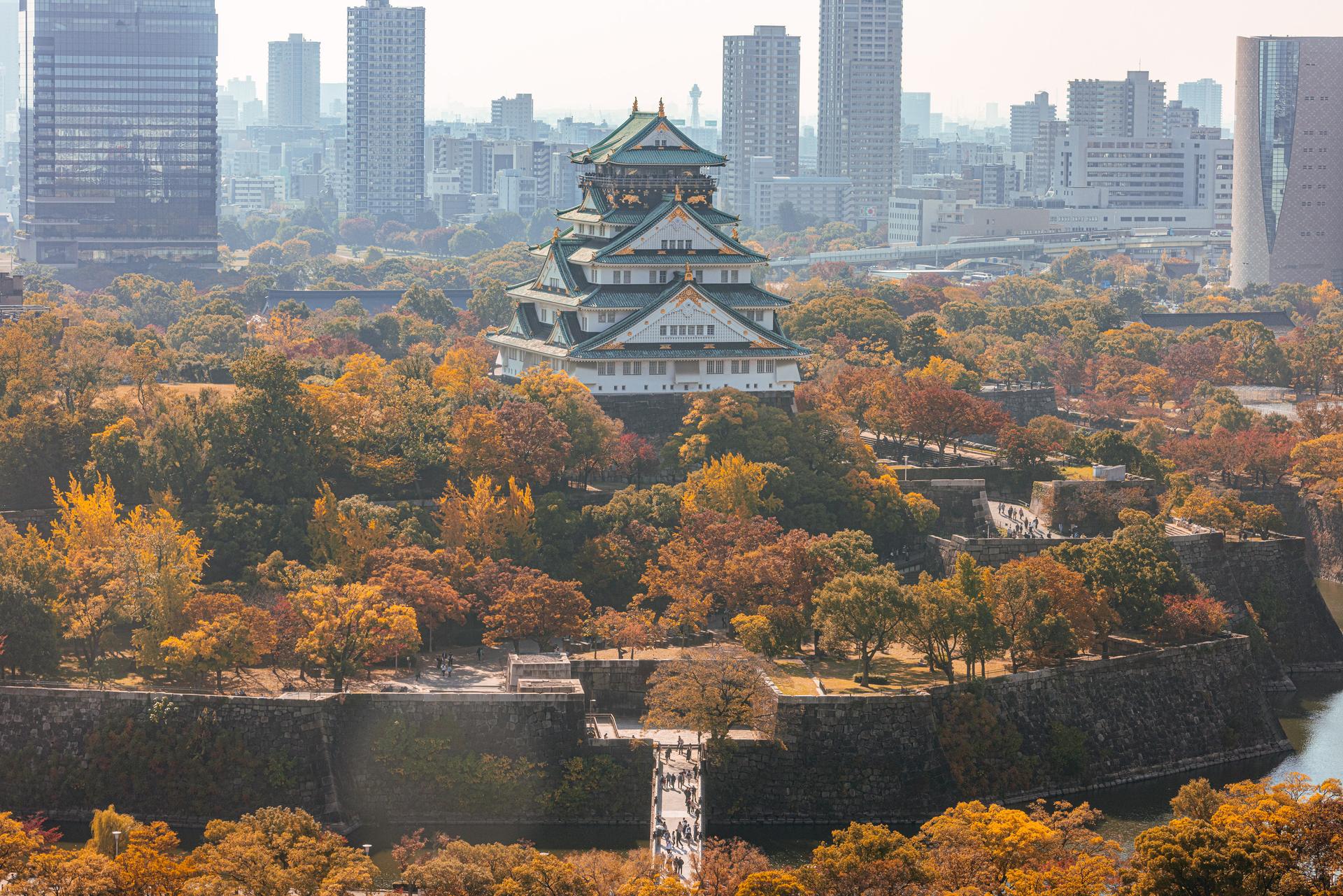 大阪城紅葉2025-img